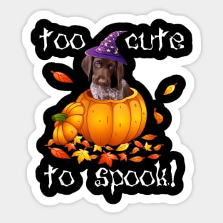 german shorthair pointer Too Cute To Spook Halloween Dog Sticker